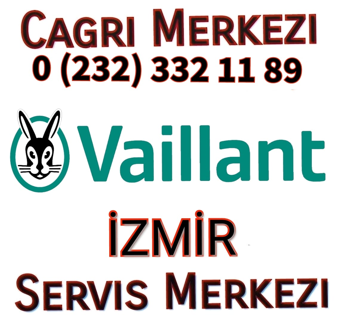 Bornova Vaillant servisi